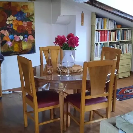 Cosy And Calm In Heart With Free And Large Parking Q-park Chavant Apartmán Grenoble