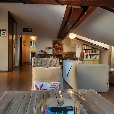 Apartment Cosy And Calm In Heart With Free And Large Parking Q-park Chavant Grenoble